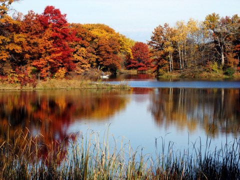 Here Are The Best Times And Places To View Fall Foliage In Minnesota