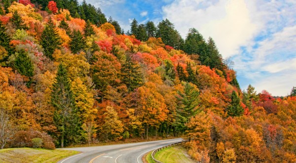 9 Roads In Tennessee With The Best Fall Windshield Views