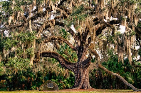 The Sinister Story Behind This Popular Florida Park Will Give You Chills