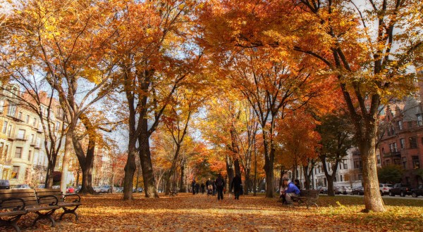 2017 Might Be The Best Year Ever For Fall Foliage In Massachusetts