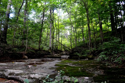 This One Easy Hike In Louisville Will Lead You Someplace Unforgettable