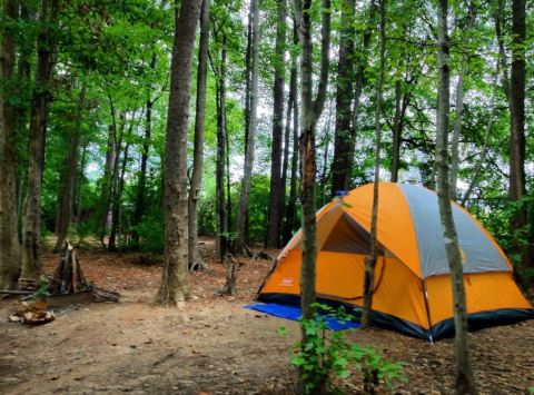 These 6 Amazing Camping Spots Around Charlotte Are An Absolute Must See