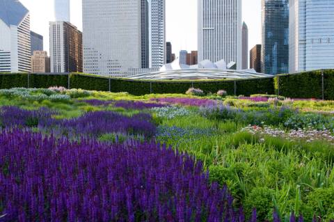 The Secret Garden In Chicago You’re Guaranteed To Love