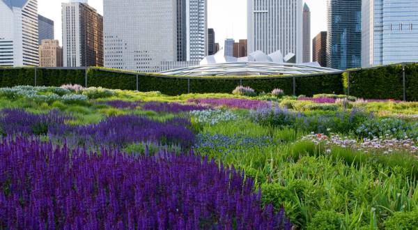 The Secret Garden In Chicago You’re Guaranteed To Love