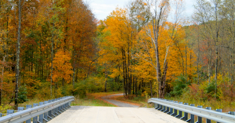 The 6 Best Backroads Around Pittsburgh For A Scenic Drive