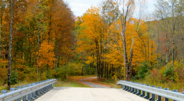 The 6 Best Backroads Around Pittsburgh For A Scenic Drive