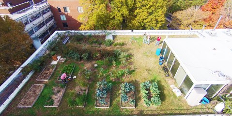 Almost Nobody Knows This Secret Rooftop Garden In Georgia Even Exists