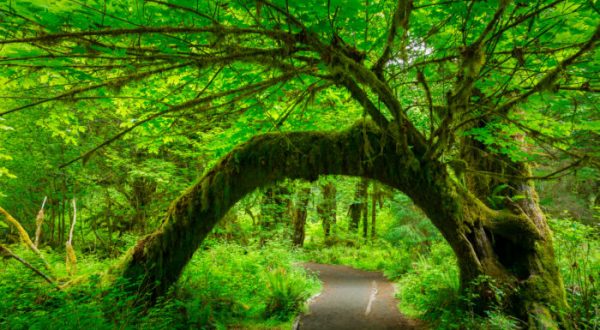 The Washington Park That Will Make You Feel Like You Walked Into A Fairy Tale