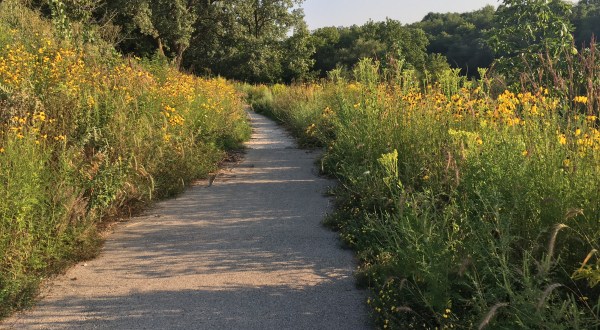 This One Easy Hike In Milwaukee Will Lead You Someplace Unforgettable