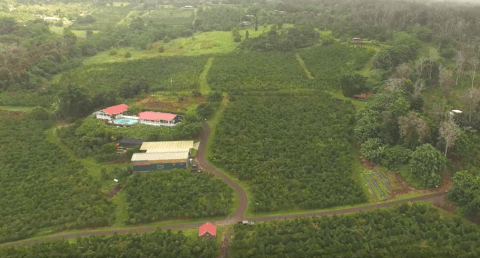 This Charming Little Farm Is The Best Kept Secret In Hawaii
