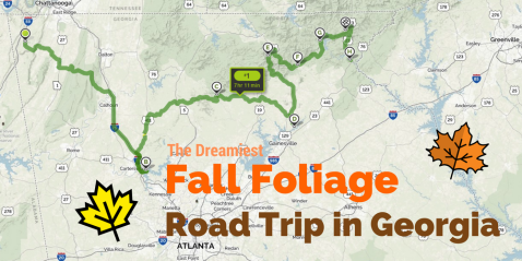 This Dreamy Road Trip Will Take You To The Best Fall Foliage In All Of Georgia