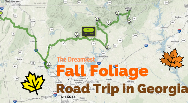 This Dreamy Road Trip Will Take You To The Best Fall Foliage In All Of Georgia
