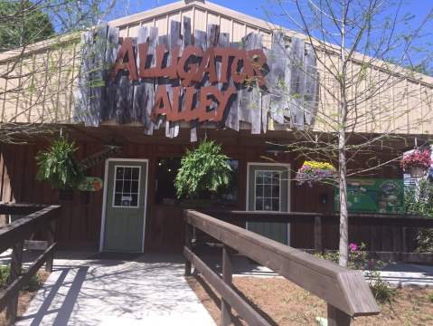 Visit This Alligator Farm In Alabama For A Truly Unique Experience