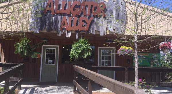 Visit This Alligator Farm In Alabama For A Truly Unique Experience
