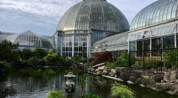 Why You Need To Visit Detroit’s Belle Isle Conservatory Right Now