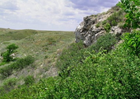 The Sinister Story Behind This Popular Kansas Preserve Will Give You Chills