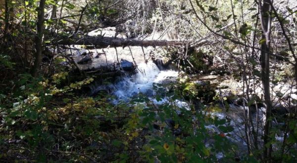 6 Hidden, Breathtaking Waterfalls To Discover In New Mexico