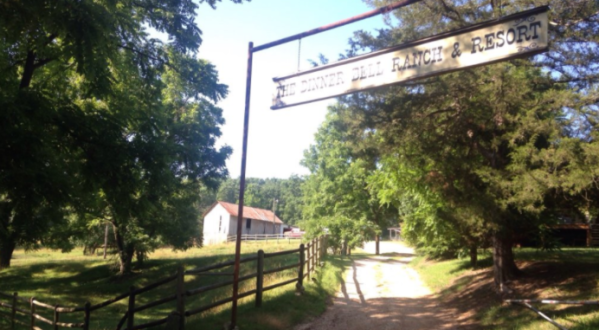 You Can Have The Adventure Of A Lifetime At This Arkansas Horse Ranch
