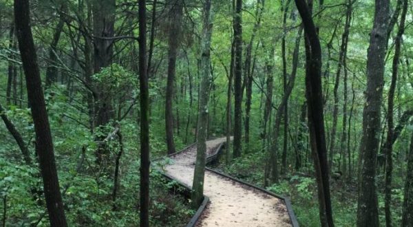 The Boardwalk Trail In Kentucky You’ll Want To Explore Before Summer Ends
