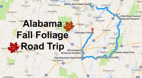 This Dreamy Road Trip Will Take You To The Best Fall Foliage In All Of Alabama