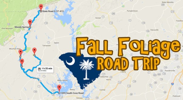 This Dreamy Road Trip Will Take You To The Best Fall Foliage In All Of South Carolina