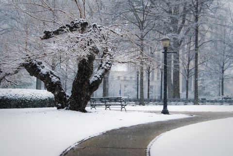 You May Not Like These Predictions About Alabama's Chilly Upcoming Winter