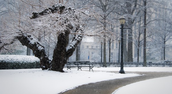 You May Not Like These Predictions About Alabama’s Chilly Upcoming Winter