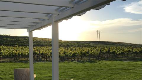 The Underrated Wine Region In Nebraska You'll Want To Visit Again And Again