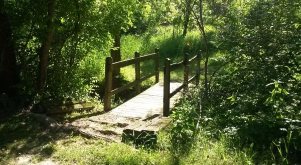 11 Trails In St. Louis You Must Take If You Love The Outdoors