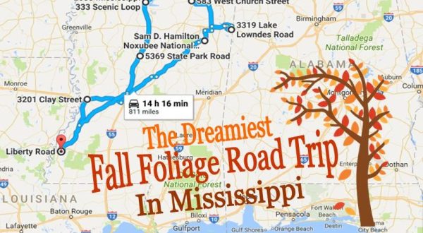 This Dreamy Road Trip Will Take You To The Best Fall Foliage In All Of Mississippi