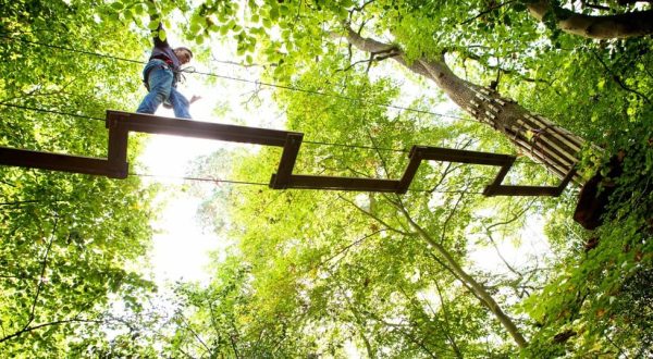 There’s An Adventure Park Hiding Near Louisville And You Need To Visit