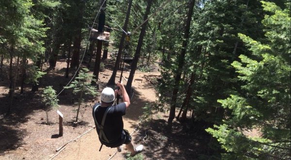 The Epic Zipline In Northern California That Will Take You On An Adventure Of A Lifetime