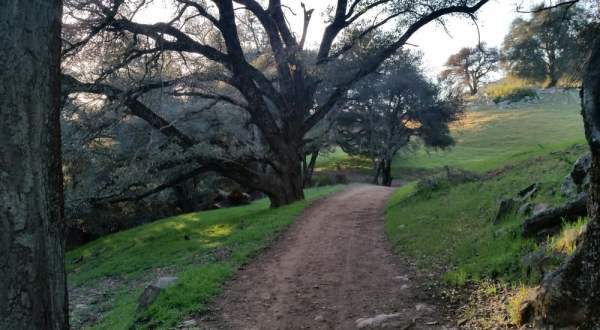 The Peaceful Farm Preserve In Southern California That’s A Nature Lovers Paradise
