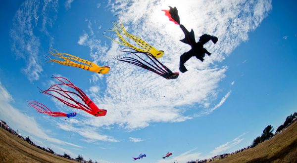This Incredible Kite Festival In Oklahoma Is A Must-See