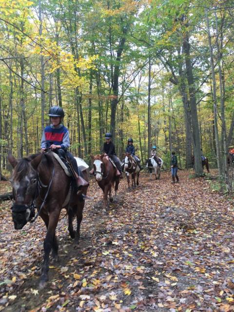 The Horseback Riding Trail Near Detroit That's Pure Magic