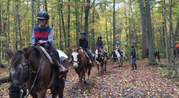 The Horseback Riding Trail Near Detroit That’s Pure Magic
