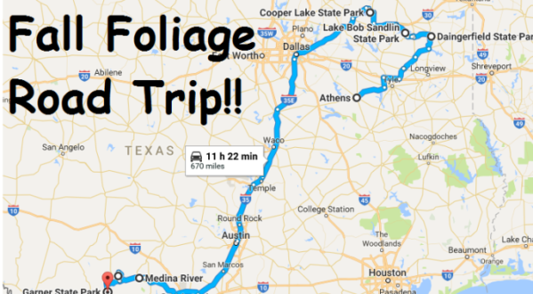This Dreamy Road Trip Will Take You To The Best Fall Foliage In All Of Texas