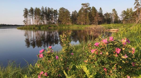 9 Nature Preserves In Michigan That Are Perfect For A Summer Afternoon