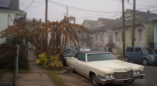 You May Not Like These Predictions About New Orleans’ Wild Upcoming Winter