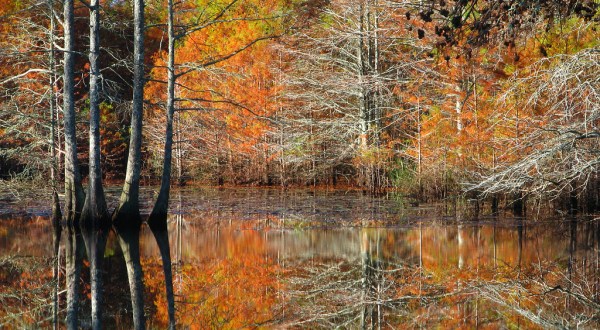 7 Short And Sweet Hikes In Mississippi With A Spectacular End View