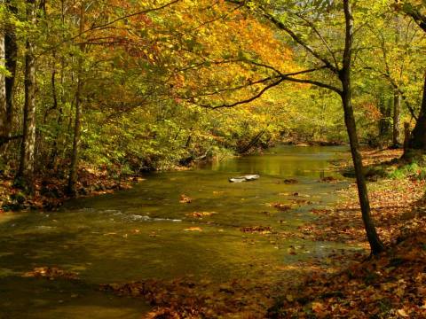 Escape The City With This Scenic Nashville Countryside Hike