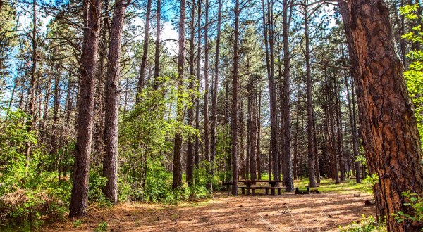 The Secluded Campground In Nebraska That Will Take You A Million Miles Away From It All