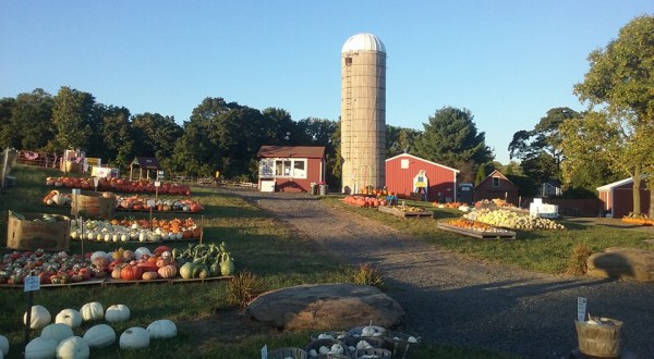 11 Harvest Festivals In Pennsylvania That Will Make Your Autumn Awesome