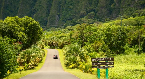 These 16 Road Trips In Hawaii Will Lead You To Places You’ll Never Forget