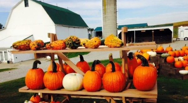 10 Picture Perfect Fall Day Trips To Take In Ohio