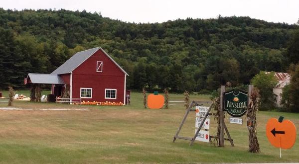 Pick Your Own Pumpkin At One Of These 10 Patches In Vermont This Fall