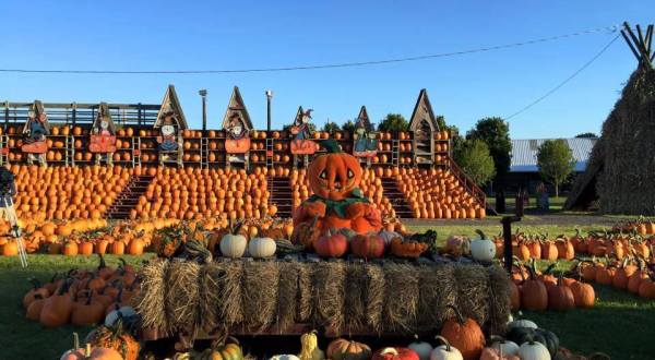 This Buffalo Pumpkin Patch Is One Of The Best In America