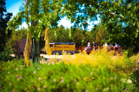 The Orchard Train Ride In Arizona That’s Perfect For A Fall Day