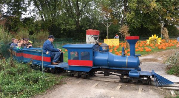 New York’s Pumpkin Patch Train Ride Is A Great Way To Spend A Fall Day