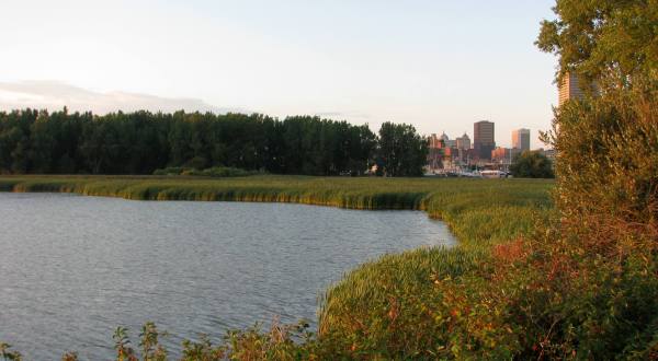Most People Don’t Realize This Enchanting Natural Oasis In Buffalo Even Exists